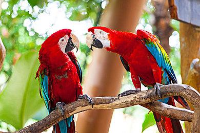 2025年CJ展8月1日举办 《金庸群侠传》等游戏将参展